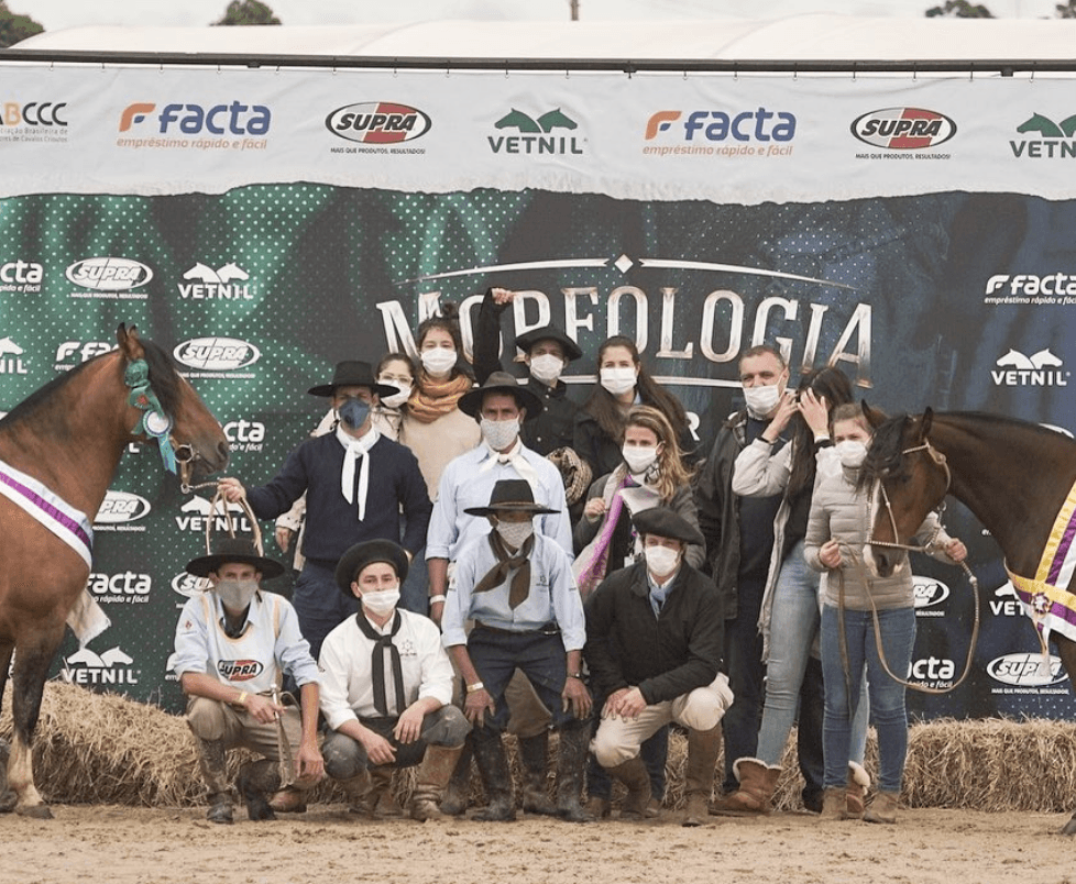 Equipe e família GAP reunidas com dois Cavalos Crioulos premiados