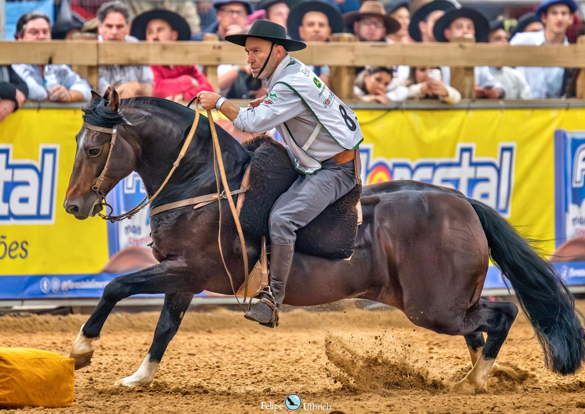 Jalisco da GAP São Pedro