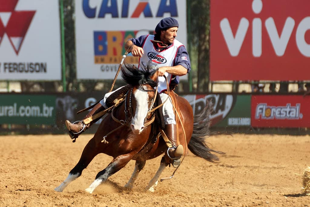 Pampa de São Pedro en movimiento bajo conducción en pista